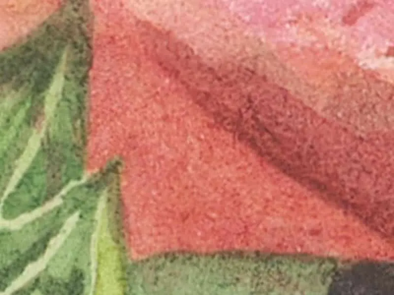 The same artwork by Katherine Appleby captured on our archival scanner, showing finer detail and accurate colour