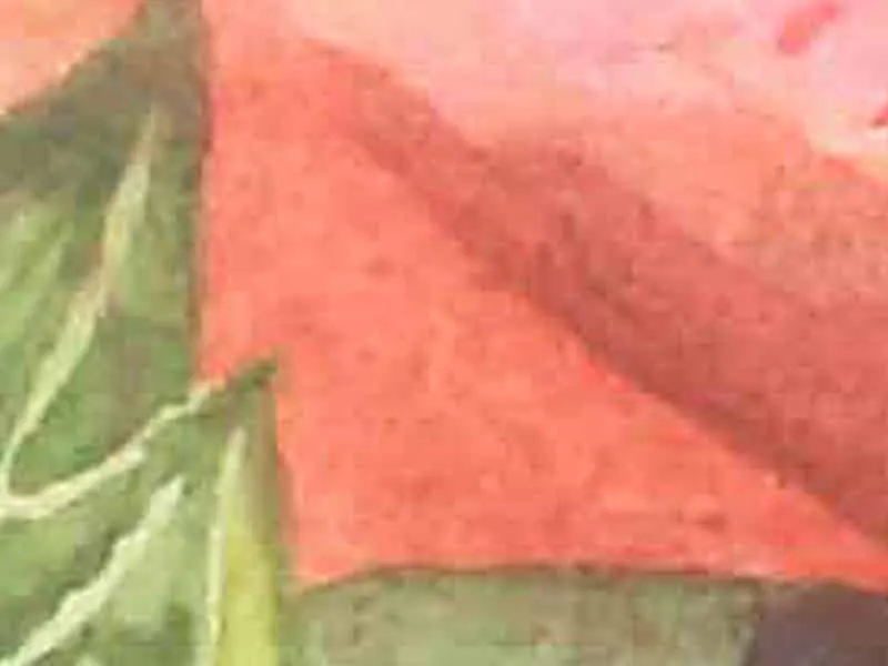 Artwork by Katherine Appleby captured on a standard home or office scanner, with softer detail and less accurate colour