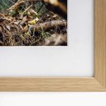 Lucent Imaging - Framed Torn Art Print